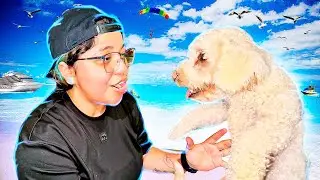 MI MASCOTA CONOCE EL MAR POR PRIMERA VEZ 🤩🌊 | Patho