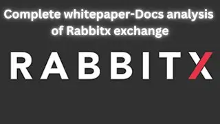 Complete whitepaper-docs analysis of Rabbitx(RBX coin) in detail