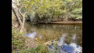 LOT 18 Tobacco Pouch Lane, Dahlonega, GA 30533 - Land - Real Estate - For Sale