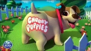 Chubby Puppies / Bumper