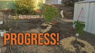Micro Swales, Apple trees & a compost rebuild @TheFFOz