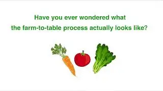 How the 'farm-to-table' process works