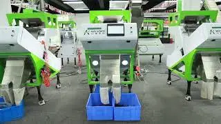 Roasted coffee beans  Sorting Video