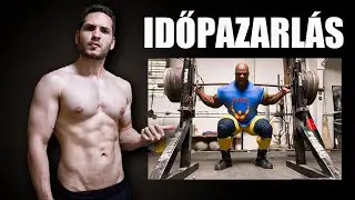 A Guggol&aacute;s NEM N&ouml;veli a FENEKED. V&eacute;gre hivatalos!