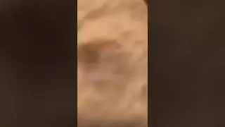 Когда бузой лёг спать 😂😆🤣