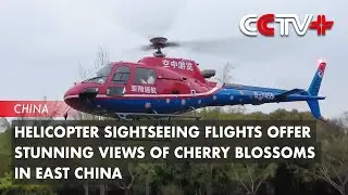 Helicopter Sightseeing Flights Offer Stunning Views of Cherry Blossoms in East China