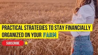 Practical Strategies to Stay Financially Organized on Your Farm