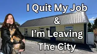 I've Quit My Job & I'm Leaving The City - Irish Cottage Homestead & Renovation Journey