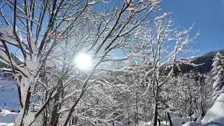 La magia della neve