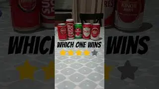 Help: Which Portuguese Beer is best?