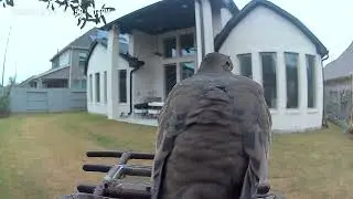 Winter storm and dove 