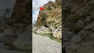 #picnicpoint