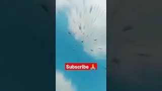 Kabutar are flying ❤️||#shorts