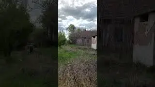 Ruine cladiri CFR Barlad 7 04 2024