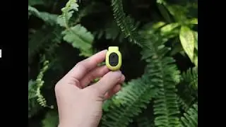 Garmin Running Dynamics Pod