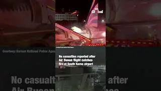 Air Busan Plane Catches Fire At Gimhae International Airport, Passengers Evacuate Safely