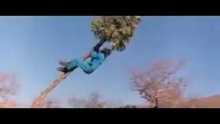 God Must Be Crazy Movie Marathi Dubbing Funny Scene