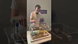 Wissenssnack: Wie funktionieren K&uuml;nstliche Neuronale Netze?