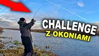Zimowe okonie z brzegu - test wędki Diaflex speeder 2,16m 1-6g perch spinn