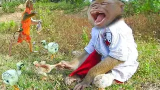 Help Me ! SokYaa Abandoned Chicken Until Cry Loudly, Poor Animal