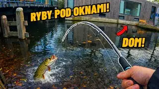 ŁOWIĘ RYBY W MIEŚCIE KOŁO DOMÓW - ALE DUŻA RYBA!
