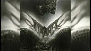 DRAH NEET - FLIGHT ATTENDANT (SCUDERIA RECORDS)