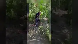 Mallakast&euml;r/ Po punonte n&euml; nj&euml; parcel&euml; me bim&euml; narkotike, kapet n&euml; flagranc&euml; nga policia 39-vje&ccedil;ari