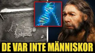 Neandertalarnas gamla DNA avslöjar äntligen en märklig upptäckt om deras verkliga ursprung