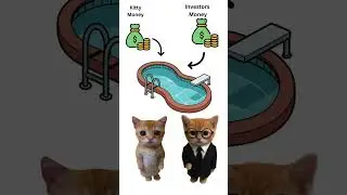 What is an SIP? Explained by Kitty!  #catmemes #cat #catsofinstagram  #financialfreedom #duet