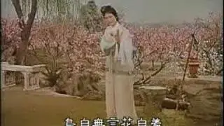Chinese Yueju Opera- Dream of Red Chamber-Scene- 7