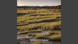 Tanha Dil Ki Kahani