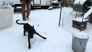 Puppy&rsquo;s First Snow! 