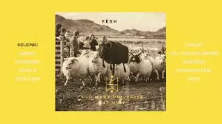 P&euml;sh - Too Many Universes But Mine (Full Album)