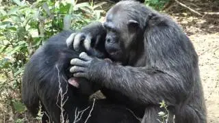 Stanley grooming Future
