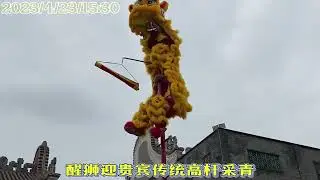 Kungfu Lion Dance Master! Super Dangerous! 醒獅迎貴賓 雄獅高桿采青