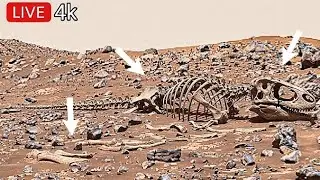 Марсоход НАСА запечатлел шокирующие 360-градусные видеокадры марсианского ландшафта в разрешении ...