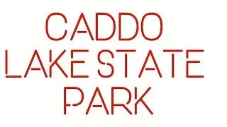 Come hear my review of Caddo Lake State Park in East Texas! (Jan 2026)