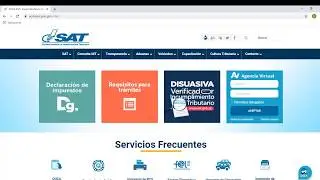 COMO LLENAR EL FORMULARIO SAT 2046 PEQUEÑO CONTRIBUYENTE / PARA NO PAGAR CONTADOR