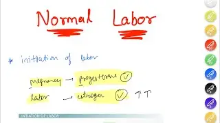 Normal labor&hellip;.part 1 (onset of labor)