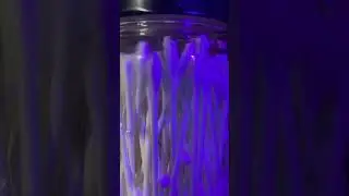 ⚠️ WARNING! Cotton Swabs Glowing Under Black Light 🤬 ⁉️ #publichealthawareness #publichealthmatters