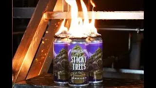 Buffalocal | Pressure Drop | Sticky Trees IPA