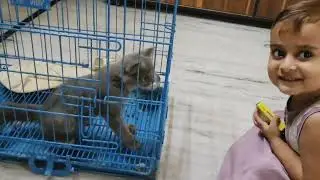 Furry Friends: A Baby's Heartwarming Bond with Her Cat #Catlovers #Petvideos #BabyAnimals #Baby&Cat