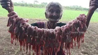 My 105 years Grandma's Tasty Quail Fry Recipe || Angry Bird Fry By My Grandma's || Country Foods