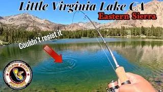 Little Virginia Lake Ca Eastern Sierra Trophy trout fishing Lakes