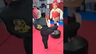 Minihawk's Beautiful Question Mark Kick #martialarts #blackbelt #cobrakai