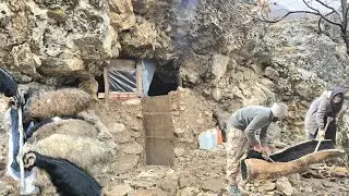 Жизнь в пещере 🏞️: Повседневная кочевая жизнь 🏕️ в горах ⛰️ и уход за скотом 🐑🌿