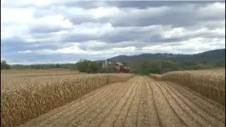 New Jersey farmer gives Midwestern states run for their money with his corn-growing skills