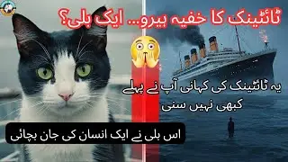 Titanic&rsquo;s Mysterious Cat How 'Jenny' Predicted the Disaster and Saved a Life  Untold True Story
