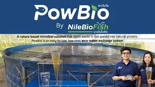 PowBio: Nature-Based Microbial for Sustainable Biofloc Fish Farming