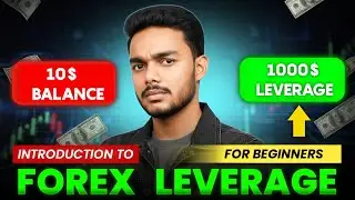 Leverage In Forex | Leverage Explained in Trading | What is Leverage in Trading For Beginners
